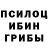 Псилоцибиновые грибы Psilocybe Andrei Hah