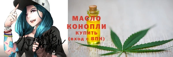 дживик Лабытнанги
