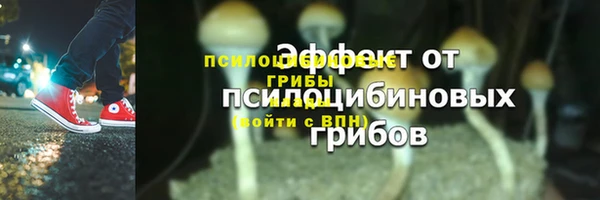 apvp Ладушкин