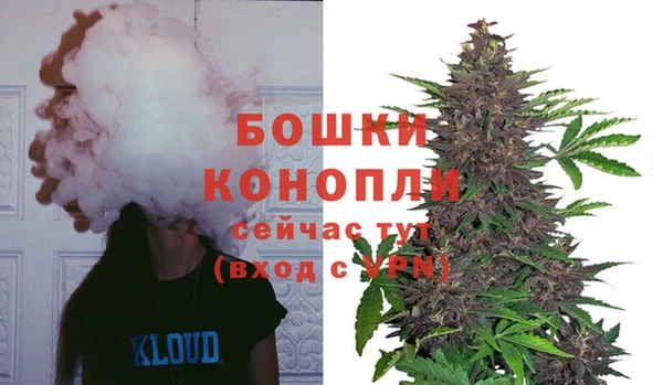 apvp Ладушкин