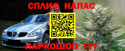 СК Коммунар