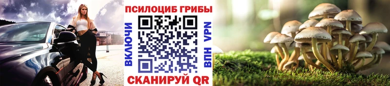 Псилоцибиновые грибы мицелий Южноуральск