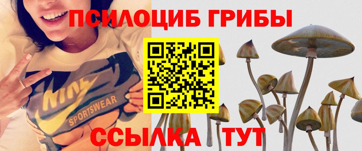 Галлюциногенные грибы мухоморы Южноуральск