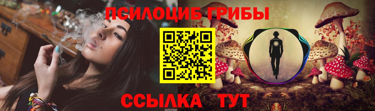Южноуральск  Псилоцибиновые грибы MAGIC MUSHROOMS  Вход с VPN 